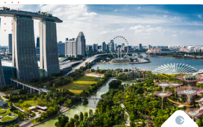 Solving Immigration Challenges in the APAC Region | Case Study