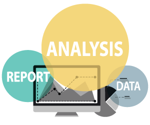 WHR Insights WHR Insights