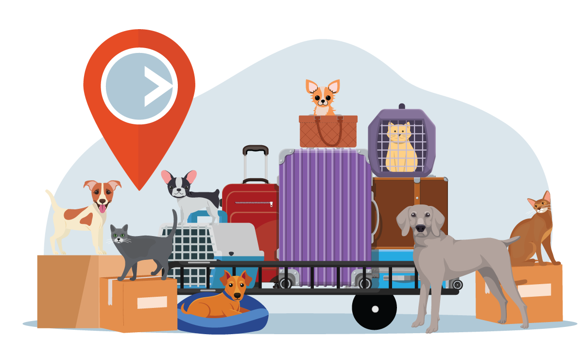 WHR Global supports relocation with pets